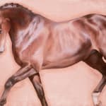 Joseph Black, Passage (Study I), 2025