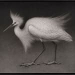 Lee Andre, Snowy Egret, 2020