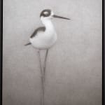 Lee Andre, Snowy Egret, 2020