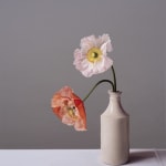 Jo Barrett, Still Life with Iceland Poppies and Stoneware Bottle - From the Fern Verrow Collection , 2021