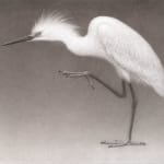 Lee Andre, Snowy Egret, 2020