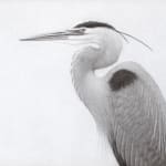 Lee Andre, Snowy Egret, 2020