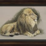 Gary Stinton, Study of Recumbent African Lion I