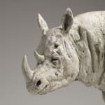 Tanya Brett, Rhino after Dürer, 2021