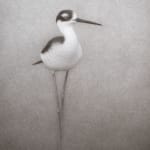 Lee Andre, Snowy Egret, 2020
