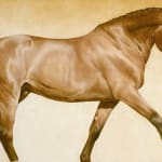 Joseph Black, Yanworth II