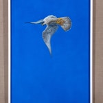 Tim Hayward, Shine - Red