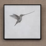 Lee Andre, White Ibis, 2022
