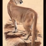 Gary Stinton, Jaguar in Profile