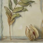 Susan Angharad Williams, Stem, Leaves, Physalis