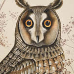 Harriet Bane, Long-eared owl, 2021