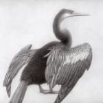 Tim Hayward, Kingfisher, 2024