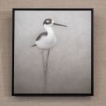Lee Andre, Snowy Egret, 2020