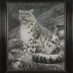 Gary Stinton, Sitting Snow Leopard