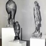 Robed Bird, 1975