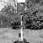 Metaphysical Bird, 1972