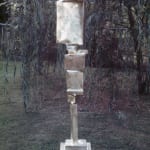 Metaphysical Bird, 1972