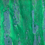 Courtesy of MNB Arts and Culture_image reçue par mail en nov 2023