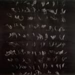 Judit Reigl, Déroulement, 1977