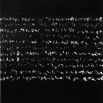Judit Reigl, Déroulement, 1974