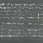 Judit Reigl, Déroulement, 1974
