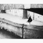 Julian Marshall, JARDIN DES PLANTES, 2000