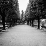 Julian Marshall, JARDIN DES PLANTES, 2000