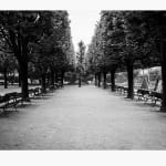 Julian Marshall, JARDIN DES PLANTES, 2000