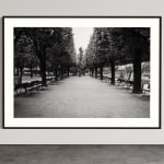 Julian Marshall, JARDIN DES PLANTES, 2000