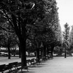 Julian Marshall, JARDIN DES PLANTES, 2000