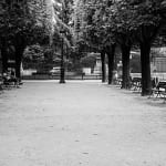 Julian Marshall, JARDIN DES PLANTES, 2000