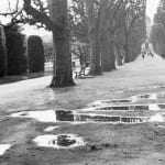 Julian Marshall, JARDIN DES PLANTES, 2000