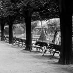 Julian Marshall, JARDIN DES PLANTES, 2000