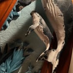 Thumbnail of additional image