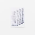 Rana Begum, No. 1141 Zigzag, 2022