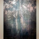 Michael Joo, Untitled (Radiohalo 3), 2016