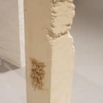 Michael Joo, Untitled (9.27.13), 2013