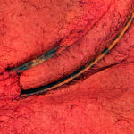 Jessica Stockholder, Untitled (Kathmandu Residency 044), 2019