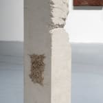 Michael Joo, Untitled (9.27.13), 2013