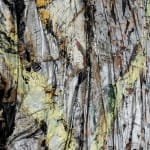 Angel Otero, Untitled , 2012