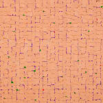 Young-Il Ahn, Water ELYG18A, 2018