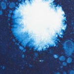 Miya Ando, 027 Full Much White Frost On Grass Moon (Algonquin) 15 November 2024, 2023