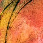 Jessica Stockholder, Untitled (Kathmandu Residency 044), 2019