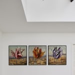 Baden Croft's oil on linen paintings Colonial Blooms I, II & III displayed alongside each other at kellilundberg.art during the inaugural Maiden Voyage exhibition.