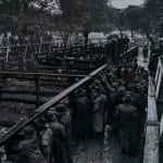 Jeff Carter's black and white photograph of Driza-Bone clad attendees of a cattle sale. Titled 'Cattle Sale, Wangaratta', the Selenium-toned print is available to view at kelllundberg.art as part of the Illsley Collection.