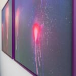 Colin Hyett, Trichocereus Macrogonus, 2024