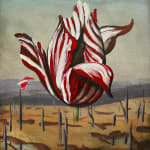 Baden Croft's oil on linen painting 'Colonial Bloom I' depicting a red and white tulip surreally blooming forth out of a barren landscape.