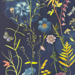 Julia Whitney Barnes, Planting Utopia (City of Peace), 2022-'24
