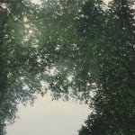 Laura Barr, Moonlit Surfer, 2023