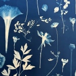 Julia Whitney Barnes, Planting Utopia (City of Peace), 2022-'24